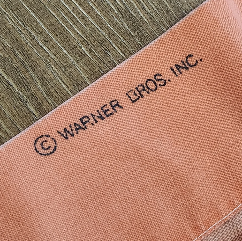 Vintage 90s Warner Bros Tweety bird and Sylvester single pillow case retro